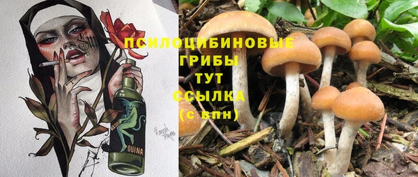 ECSTASY Алексеевка