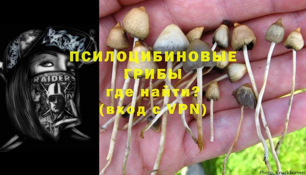 мескалин Покачи