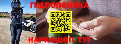 ПСИЛОЦИБИНОВЫЕ ГРИБЫ Кохма