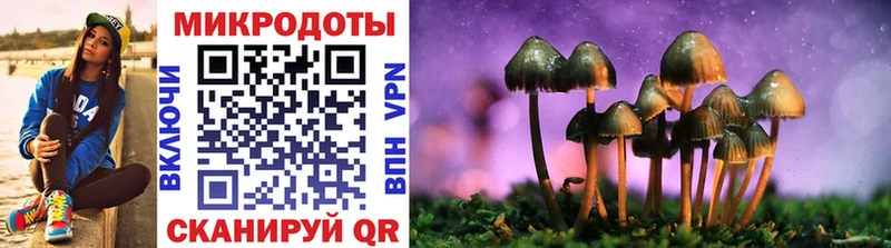 Псилоцибиновые грибы прущие грибы  Саки 
