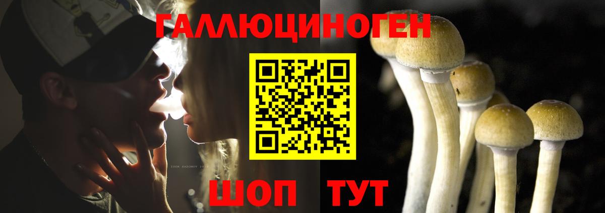 Псилоцибиновые грибы ЛСД  Галлюциногенные грибы Psilocybe  Саки  Вход с VPN 