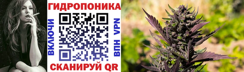 закладка  ОМГ ОМГ зеркало  Бошки марихуана Bruce Banner  Саки 
